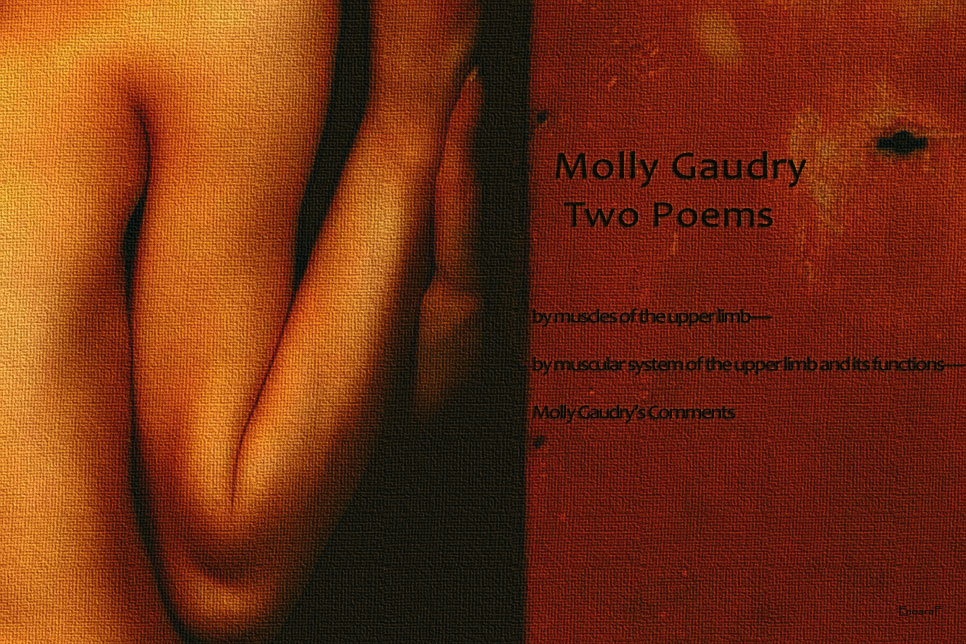 Artwork for Molly Gaudry's poems