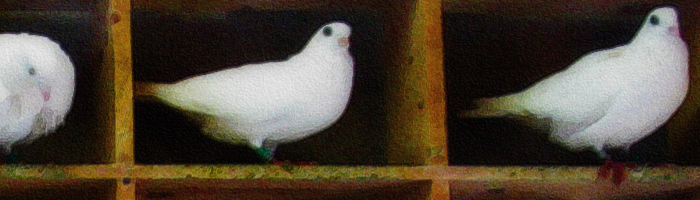 portion of Bethan Townsend's artwork