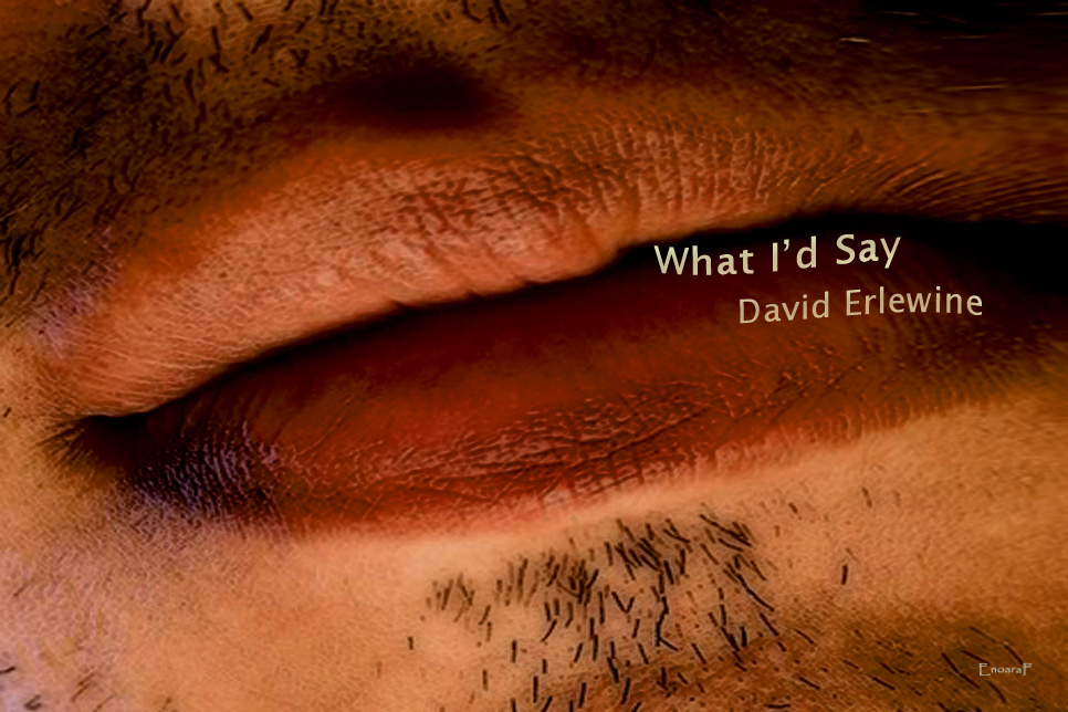 Artwork for David Erlewine story