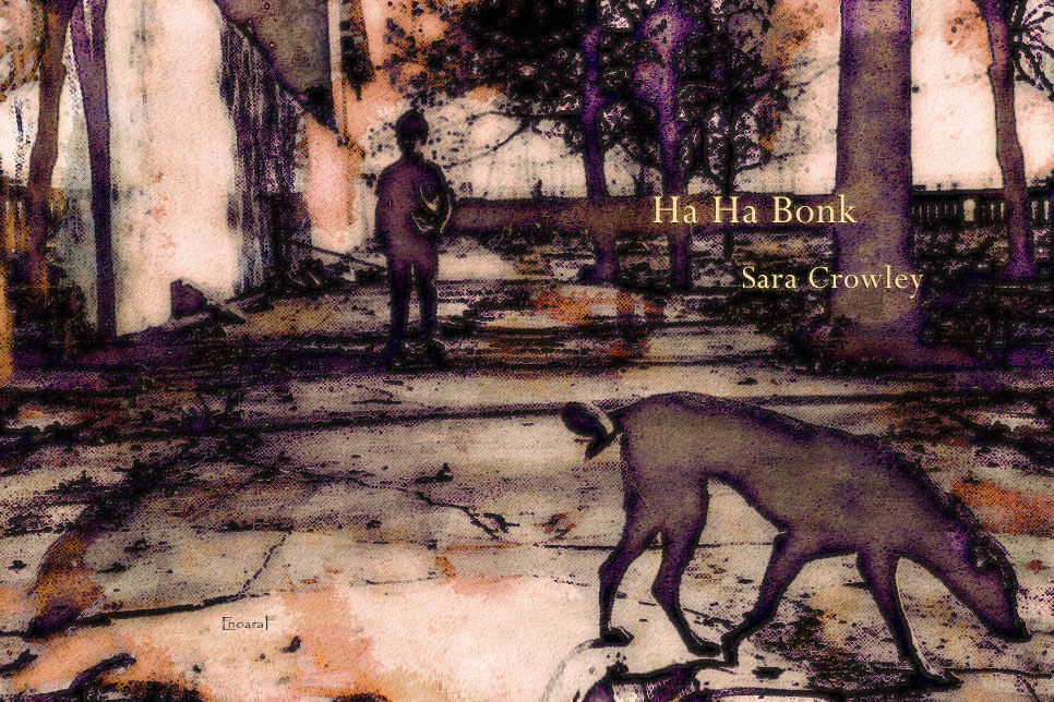 Artwork for Sara Crowley story