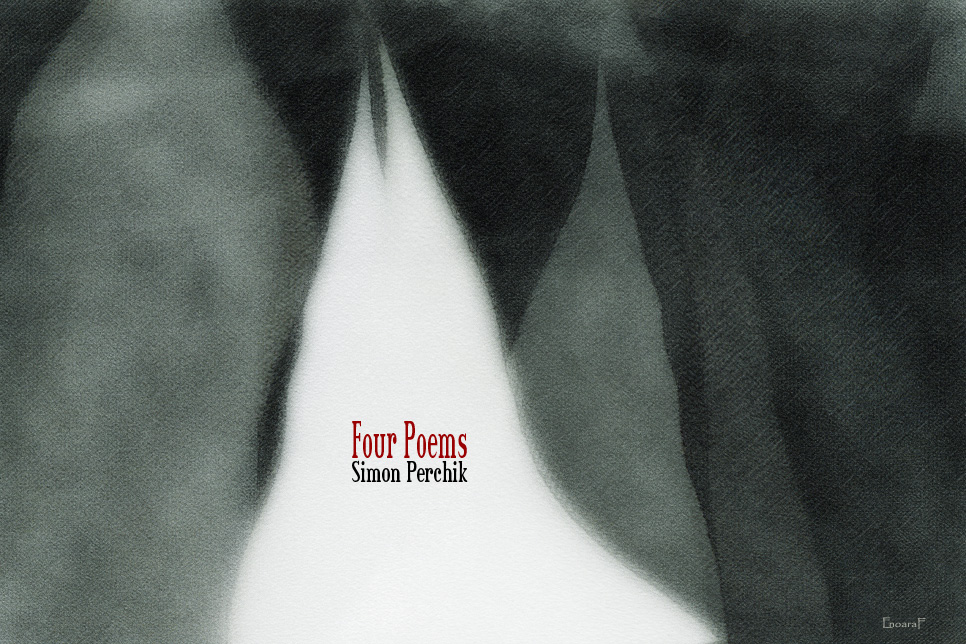 Artwork for Simon Perchik poetry