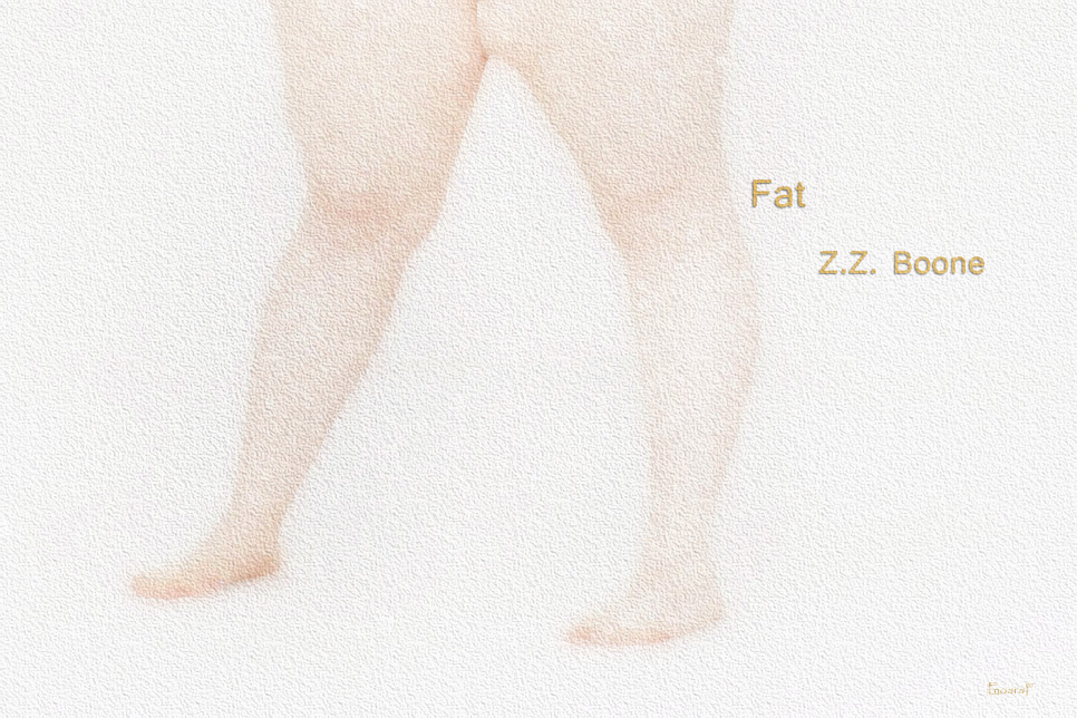 Artwork for Z.Z. Boone story