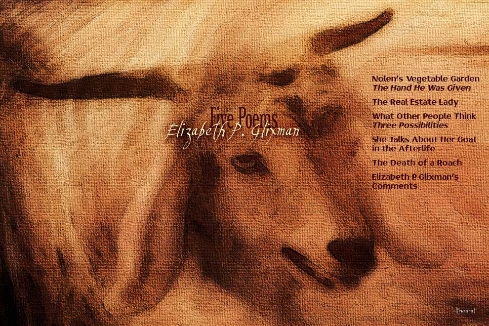 Artwork for Elizabeth P. Glixman's poems