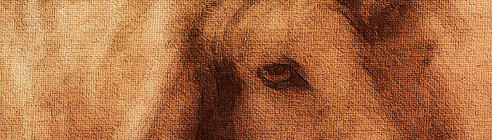 portion of the artwork for Elizabeth P. Glixman's poems