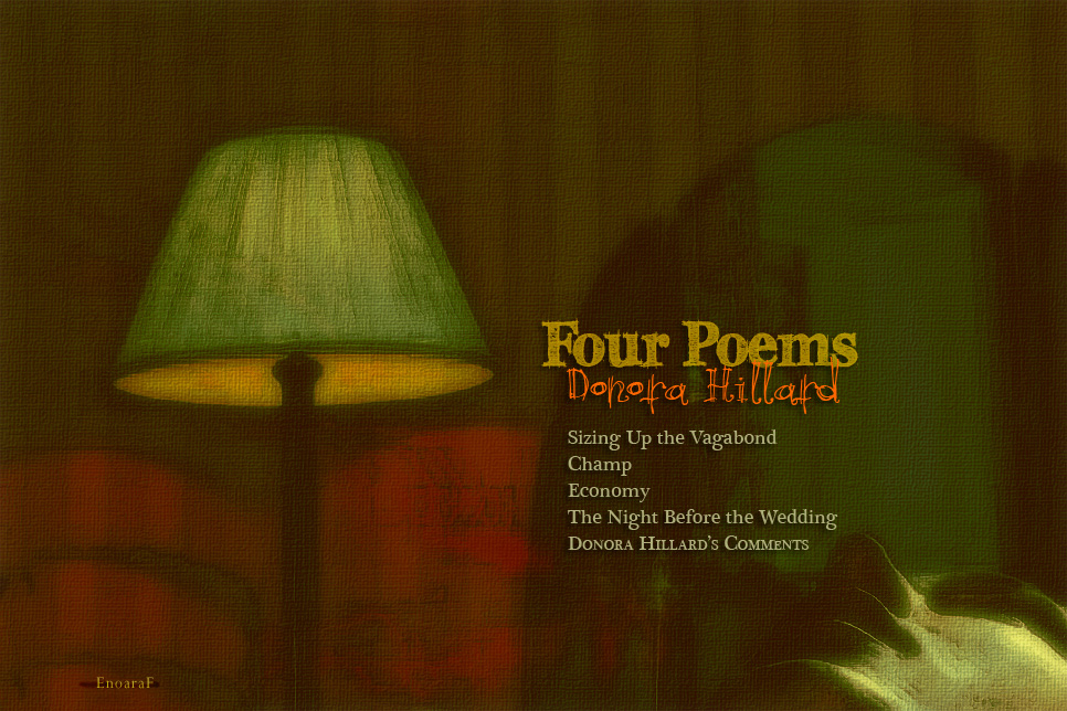 Artwork for Donora Hillard's poems