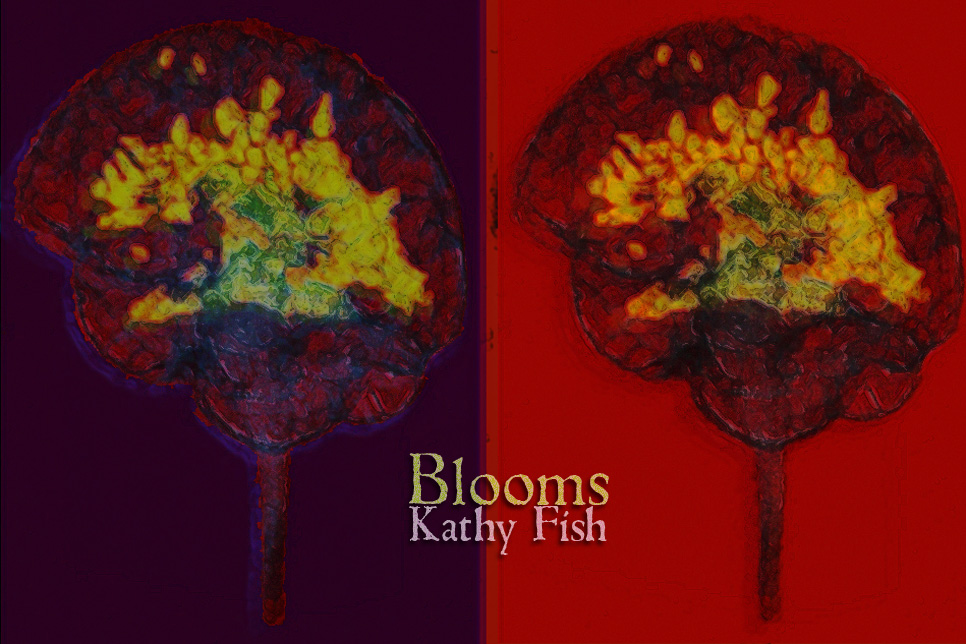 Artwork for Kathy Fish's story