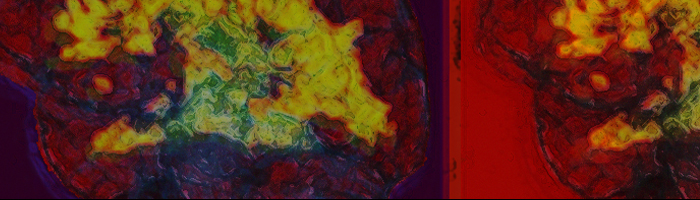 portion of the artwork for Kathy Fish's story