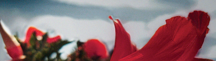 portion of the artwork for Lois Beebe Hayna's poem