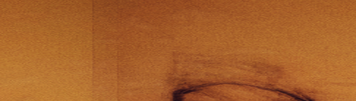 portion of the artwork for Zin Kenter's story