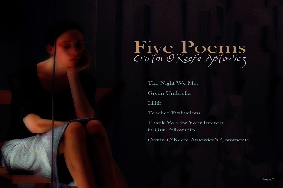 Artwork for Cristin O'Keefe Aptowicz's poems