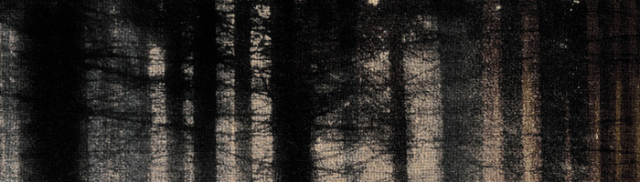 portion of the artwork for Stephen Massimilla's poetry