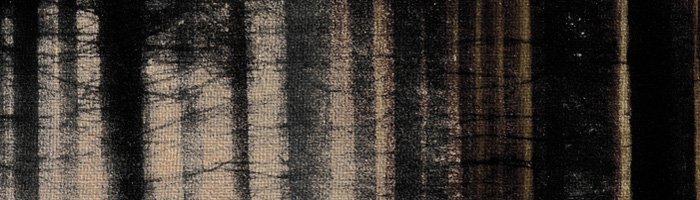 portion of the artwork for Stephen Massimilla's poetry