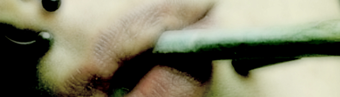 portion of the artwork for Stevie Edwards' poetry