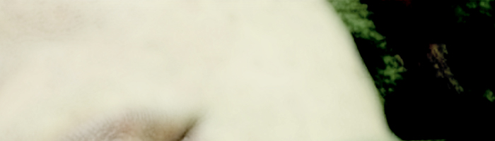 portion of the artwork for Stevie Edwards' poetry