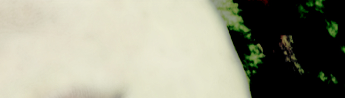 portion of the artwork for Stevie Edwards' poetry