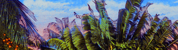 portion of the artwork for Myfanwy Collins's fiction