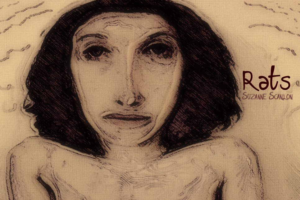 Artwork for Suzanne Scanlon's story