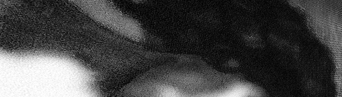 portion of the artwork for Elizabeth P. Glixman's poetry
