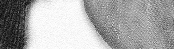 portion of the artwork for Elizabeth P. Glixman's poetry
