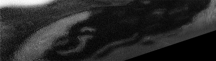 portion of the artwork for Elizabeth P. Glixman's poetry