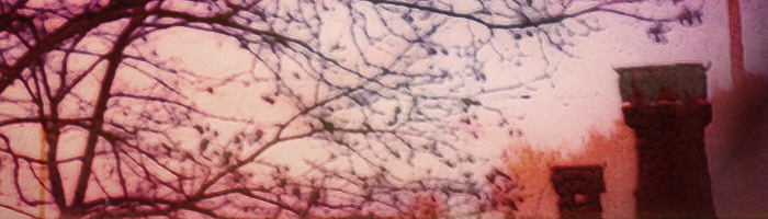 portion of the artwork for Gail Peterson's poetry