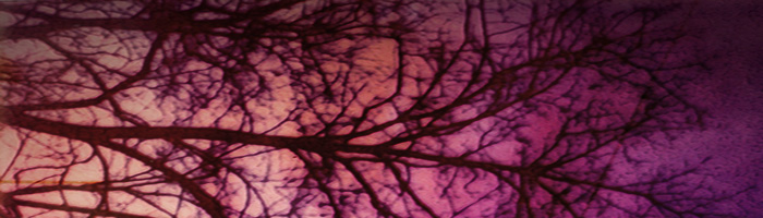 portion of the artwork for Gail Peterson's poetry