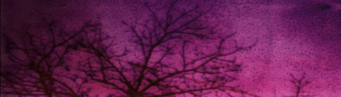 portion of the artwork for Gail Peterson's poetry