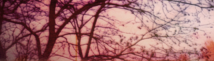 portion of the artwork for Gail Peterson's poetry