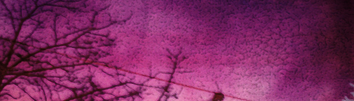 portion of the artwork for Gail Peterson's poetry