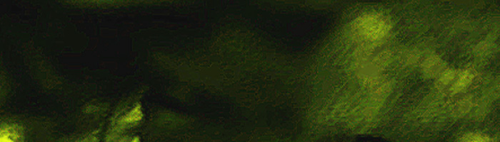 portion of the artwork for Helen Wickes' poetry