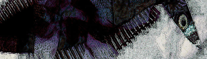portion of the artwork for Martin Galvin's poetry