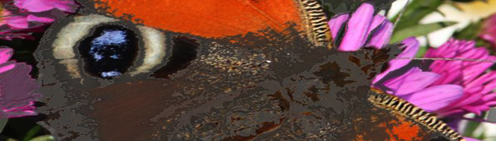portion of the artwork for Brandon Wells' fiction