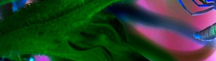 portion of the artwork for Lucille Lang Day's poetry
