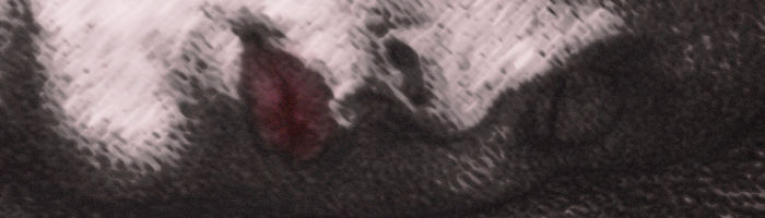 portion of the artwork for Sylvie Beauvais's fiction