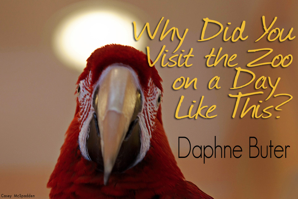 Artwork by Casey McSpadden for Daphne Buter's story
