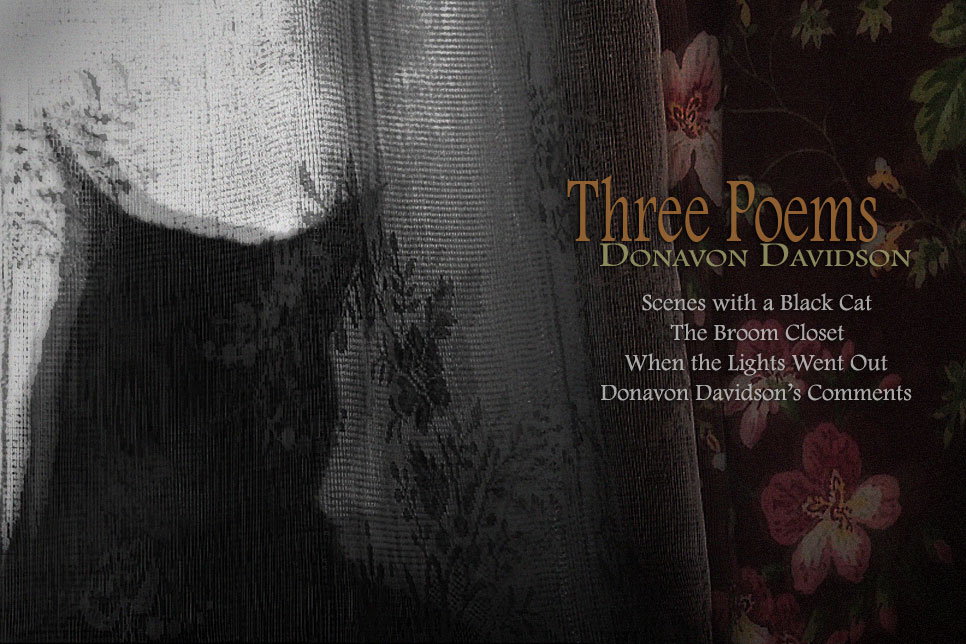 Artwork for Donavon Davidson's poems