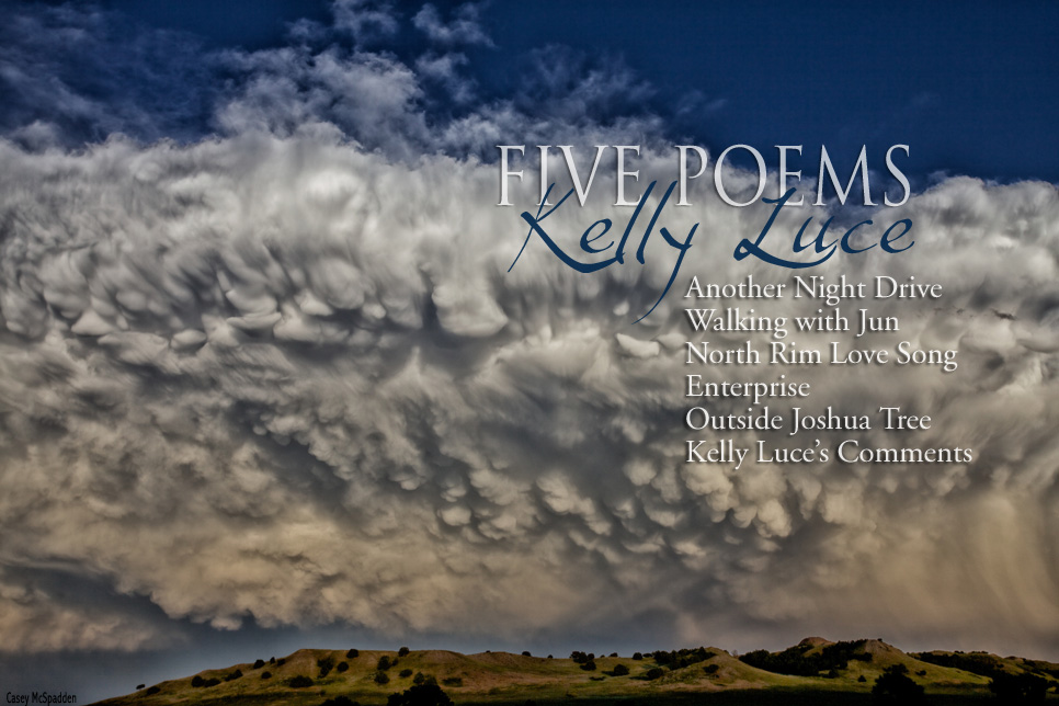 Artwork for Kelly Luce's poems