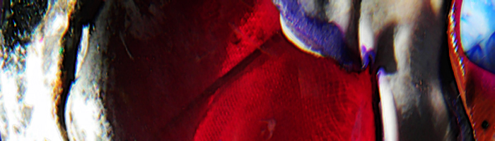 portion of the artwork for Caroline Klocksiem's poetry