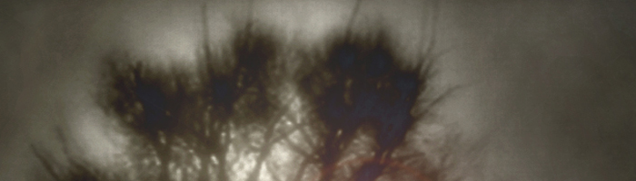 portion of the artwork for Matthew Harrison's poetry