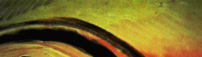 portion of the artwork for Monic Ductan's fiction