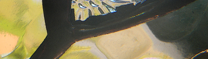 portion of the artwork for Chris Garson's poetry