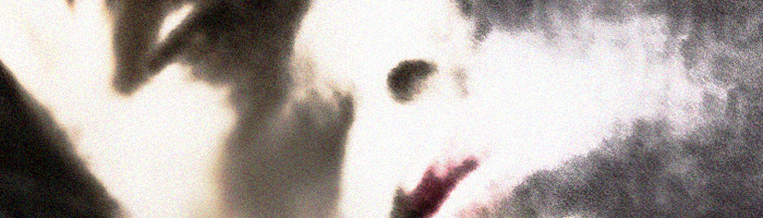 portion of the artwork for Janet Shell Anderson's fiction