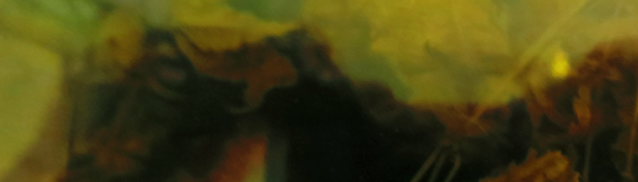 portion of the artwork for E. Martin Pedersen's poetry