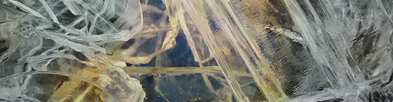 portion of the artwork for Adam McAlpine Clark's fiction