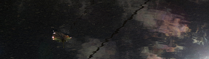 portion of the artwork for Wulf Losee's poetry