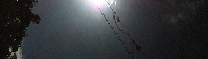 portion of the artwork for Wulf Losee's poetry