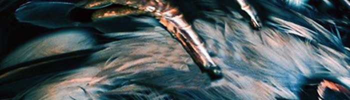portion of the artwork for Emile DeWeaver's poetry