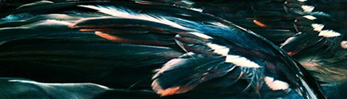 portion of the artwork for Emile DeWeaver's poetry