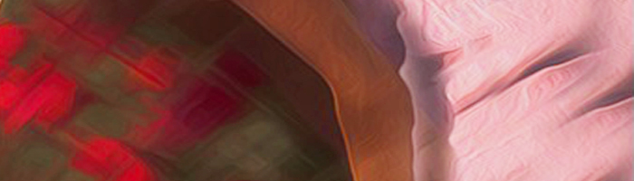 portion of the artwork for Lydia Copeland Gwyn's story
