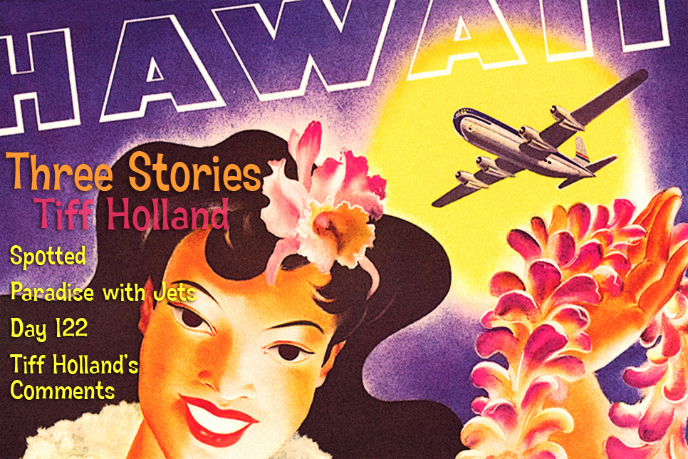 Artwork for Tiff Holland's stories